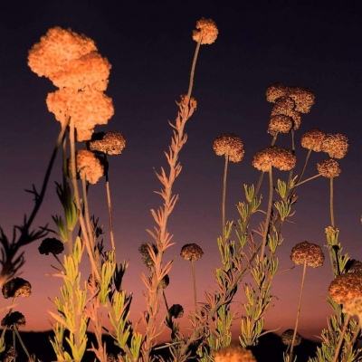 爱体育APP手机app下载